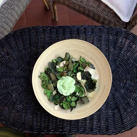 Frühstückspension Belon Poli Casilino Rom